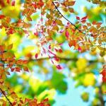 finding meaning