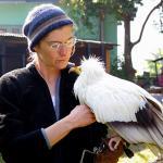 rindzin with vulture