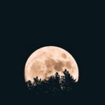 full moon compassion