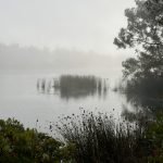nondual wholeness