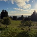 nondual meditation